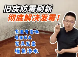 Download Video: 家里霉味太重怎么办？就做这件事