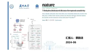 Download Video: 2024.6 文献汇报（蔡韵洁）
