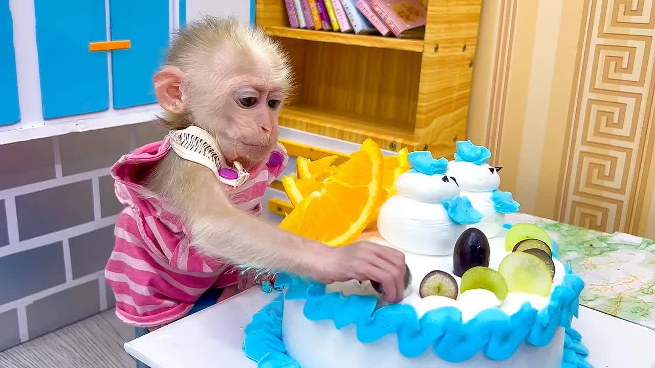 猴猴吃水果奶油蛋糕,衣服脏了,用洗衣机洗一下吧