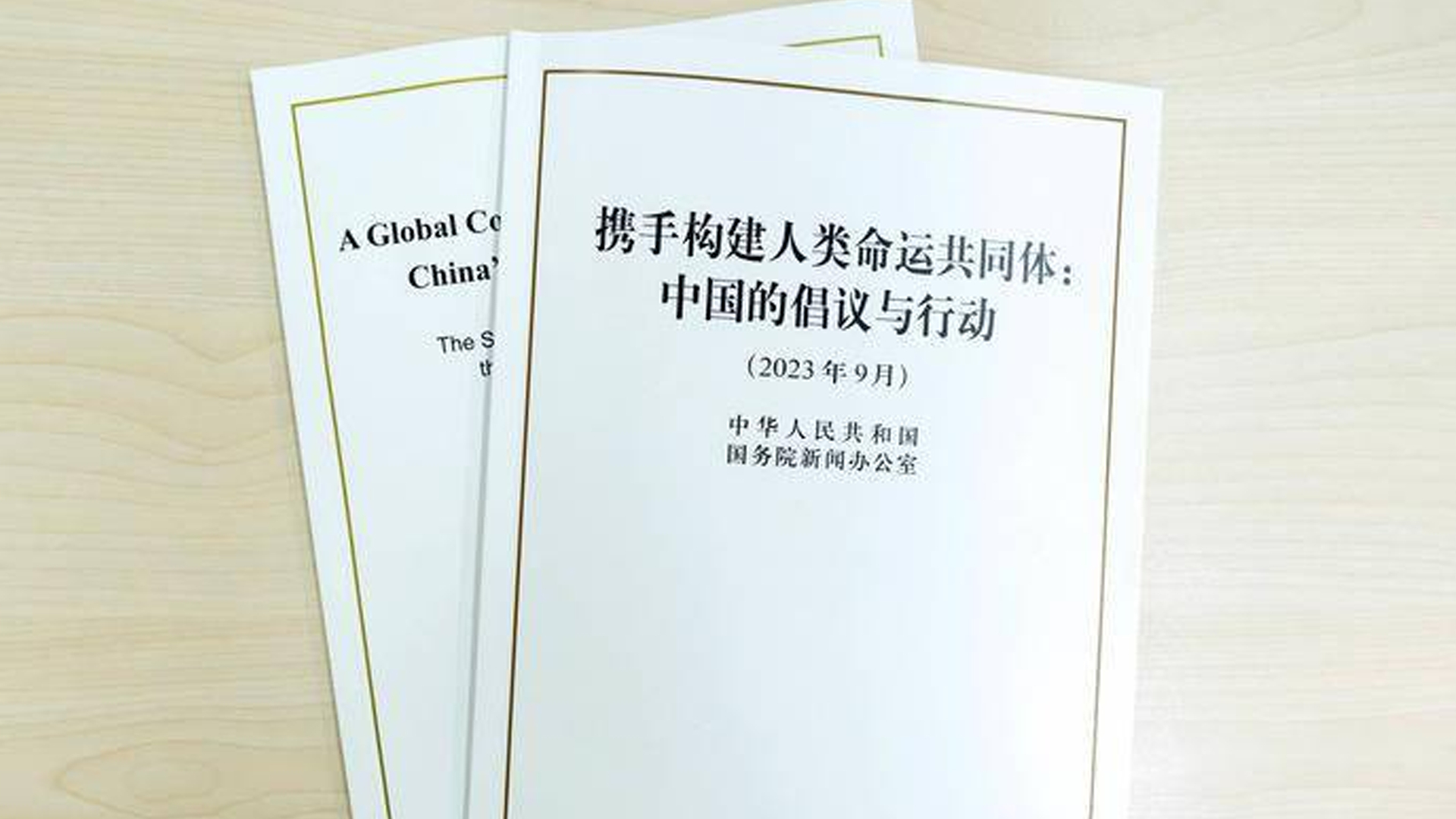 白皮书展现“中国方案”中蕴藏的哪些独特的中国智慧、中国文化?哔哩哔哩bilibili