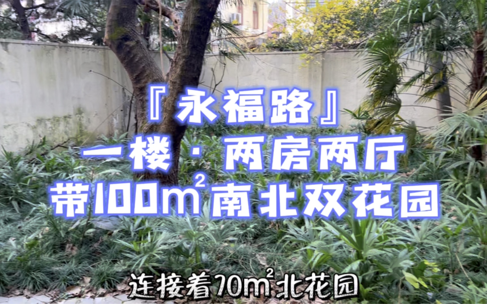 永福路ⷤ𘀦异𗤸䦈🂷带100㎡南北双花园哔哩哔哩bilibili