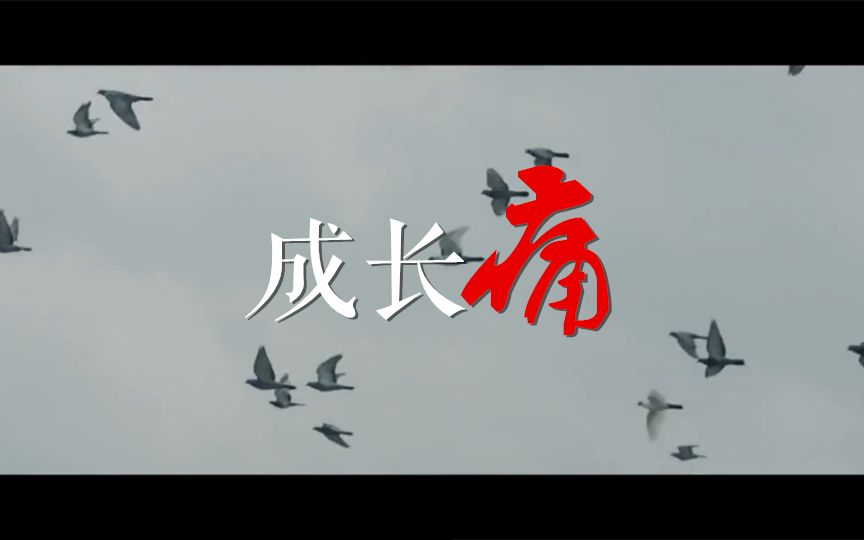 【橙光游戏】【bts】《成长痛》饭制视频 手动@二木