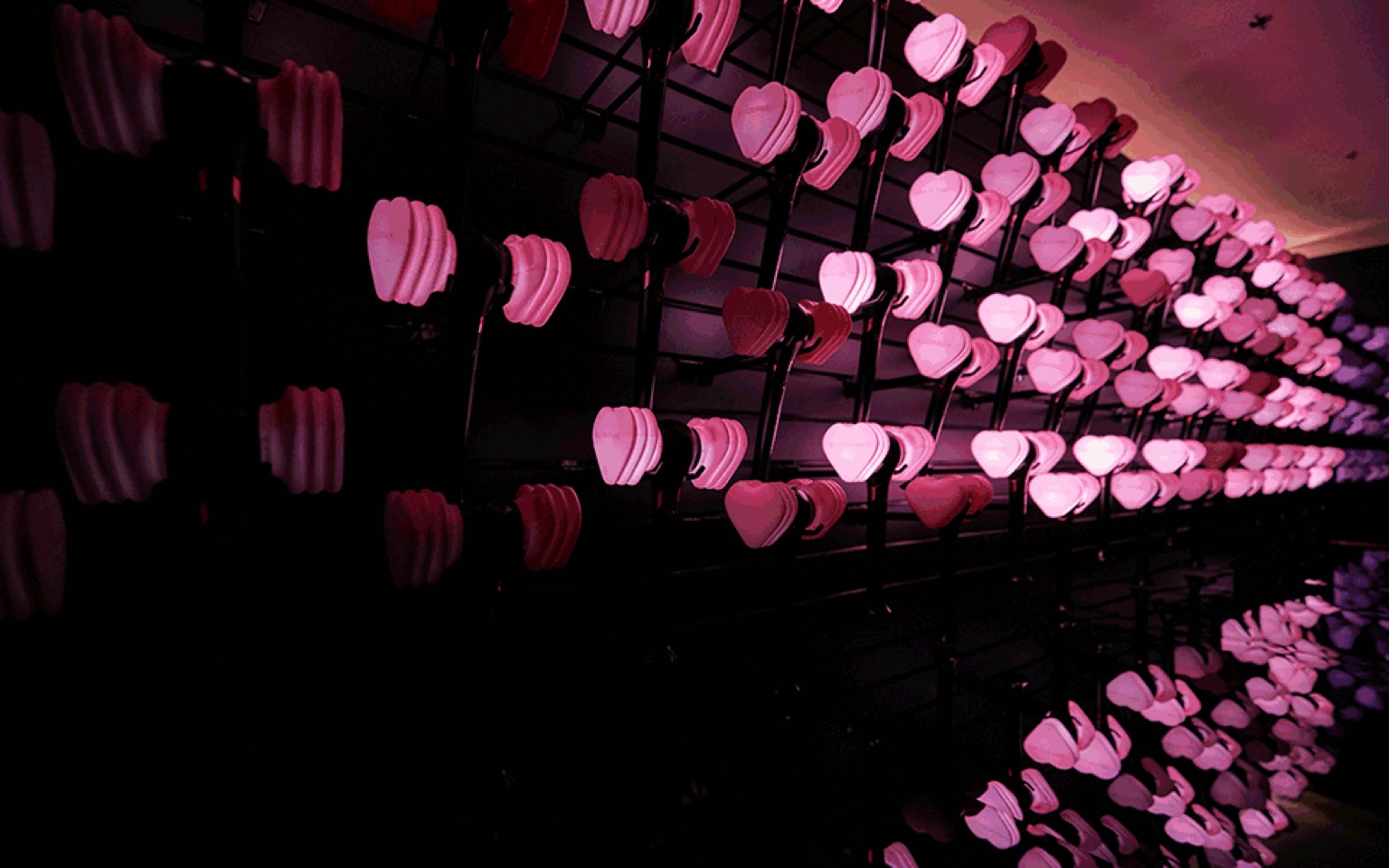 blackpink 大阪京瓷巨蛋演唱会的粉锤海