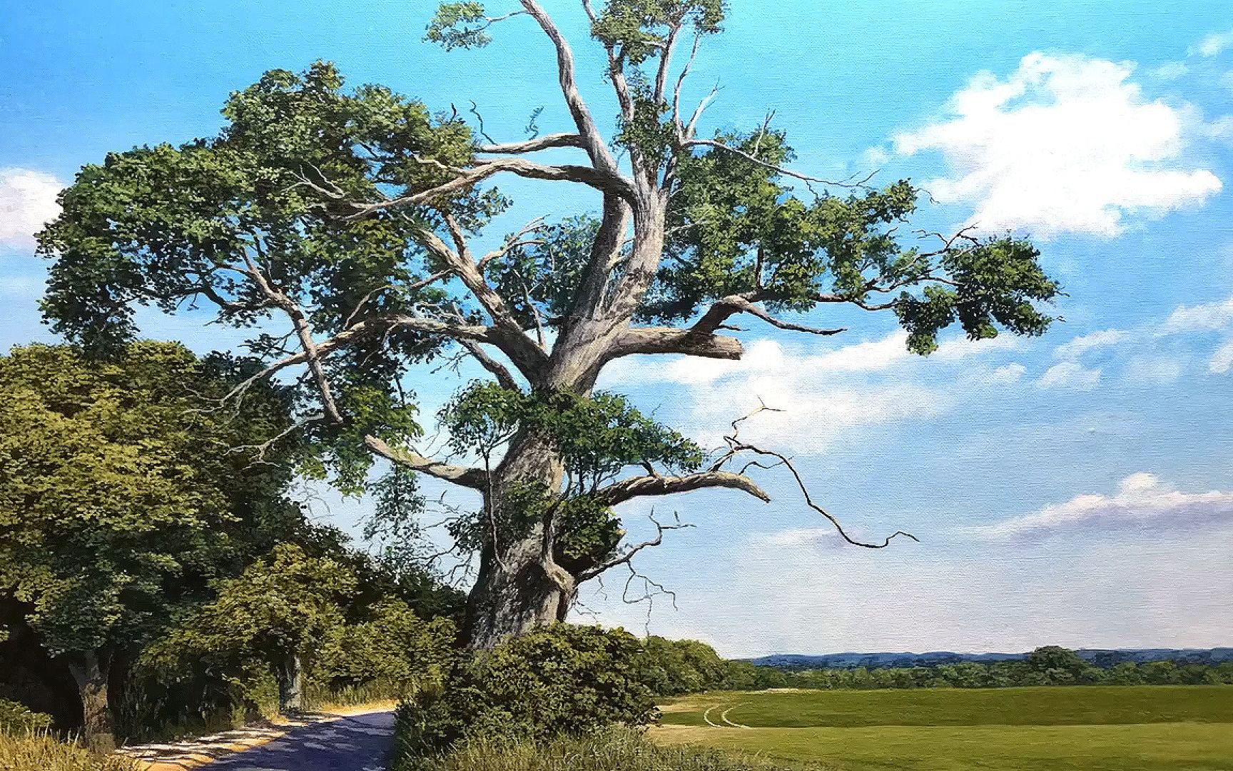 丙烯画 写实 枯树 / 延时摄影