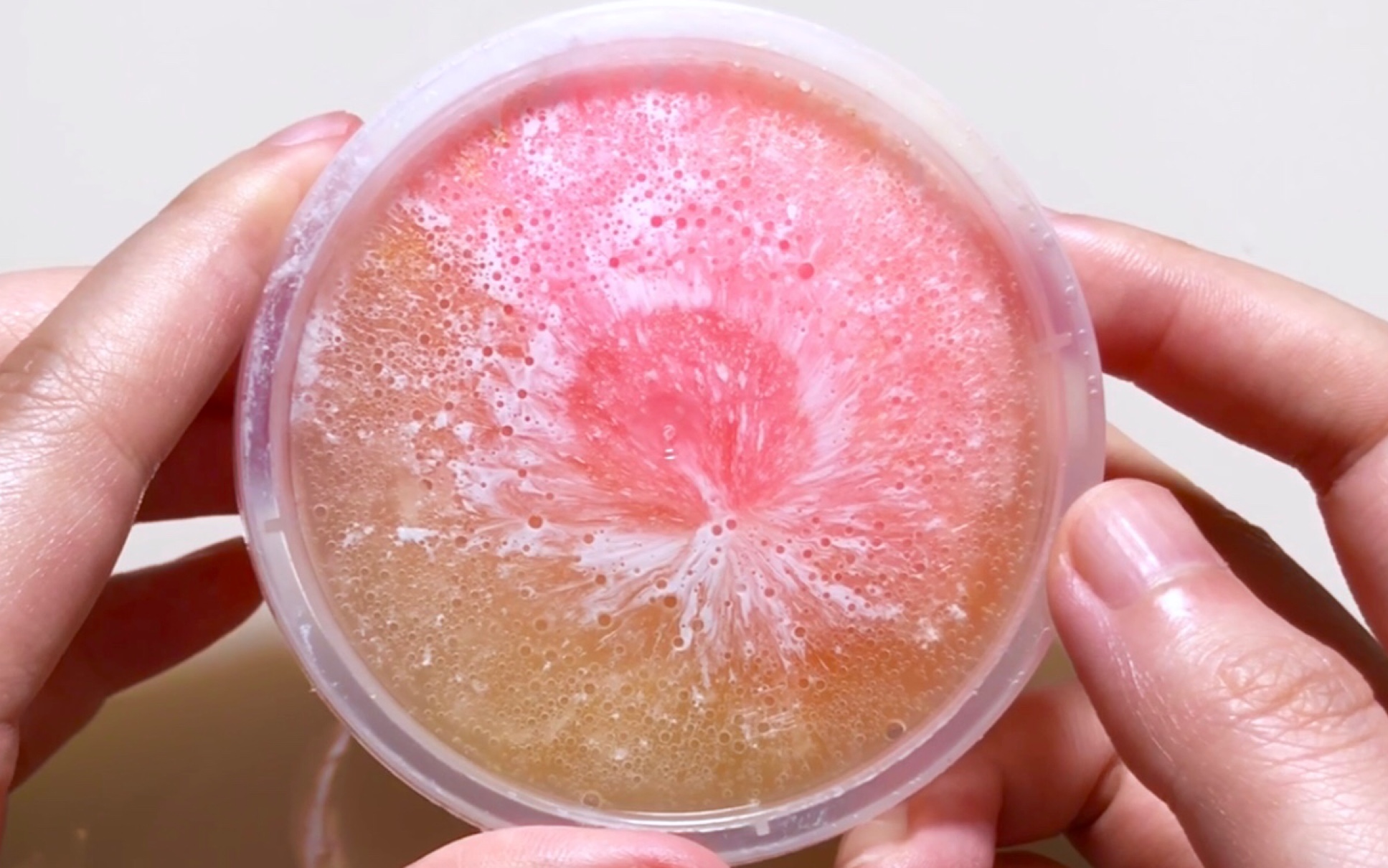 【史莱姆】活泼可爱的仙女泥~~~_哔哩哔哩 (゜-゜)つロ 干杯~-bili