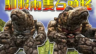 泽白方舟焦土 岩石巨人多加练习也可以轻松收服 哔哩哔哩 Bilibili