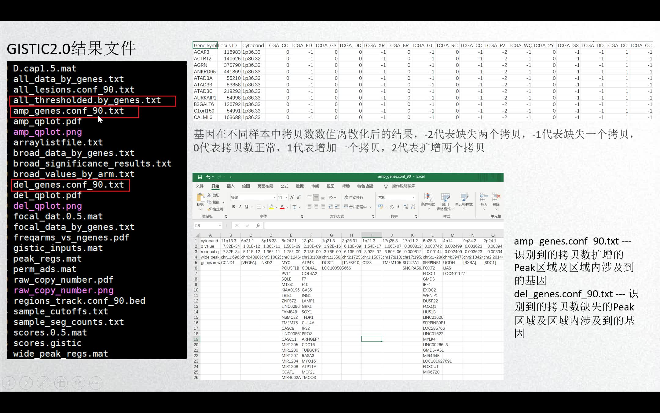 【分析技巧】lncRNA的拷贝数变异多样化分析(Copy number variation, CNV)实操哔哩哔哩bilibili