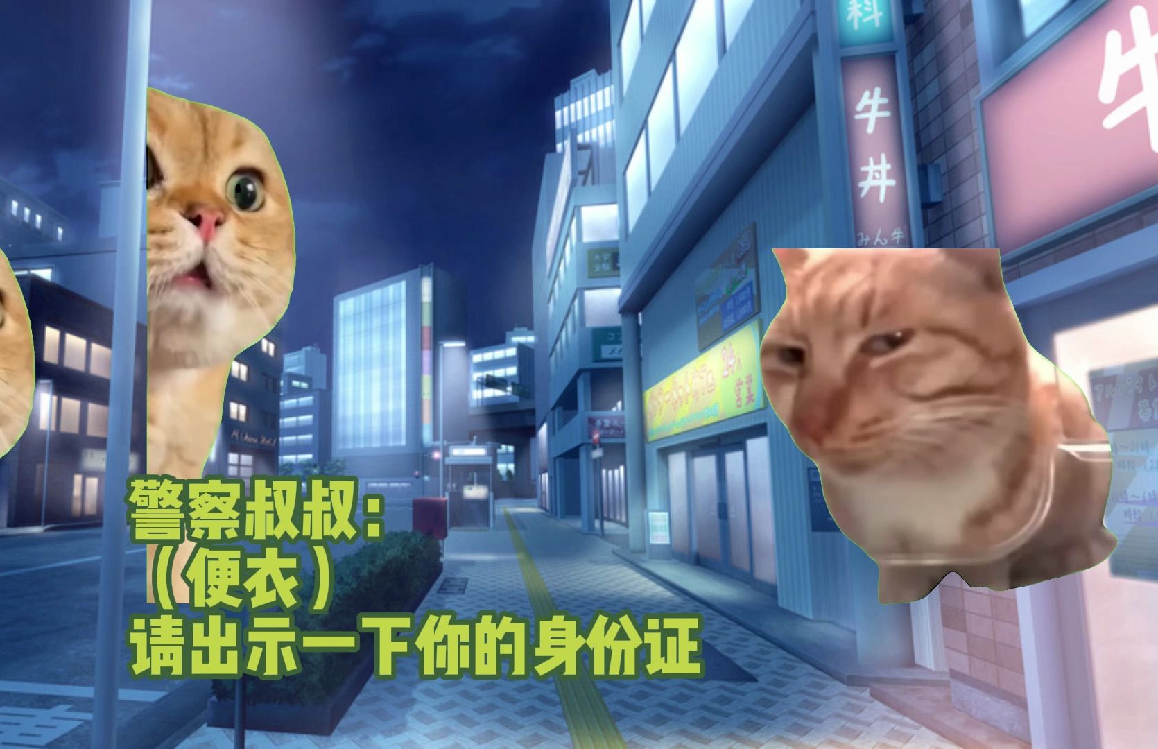 【猫meme】长得又凶又黑经常被误会的爸爸其实只是一名朴素的劳动人民。。-这里应该没人认识我叭-这里应该没人认识我叭-哔哩哔哩视频