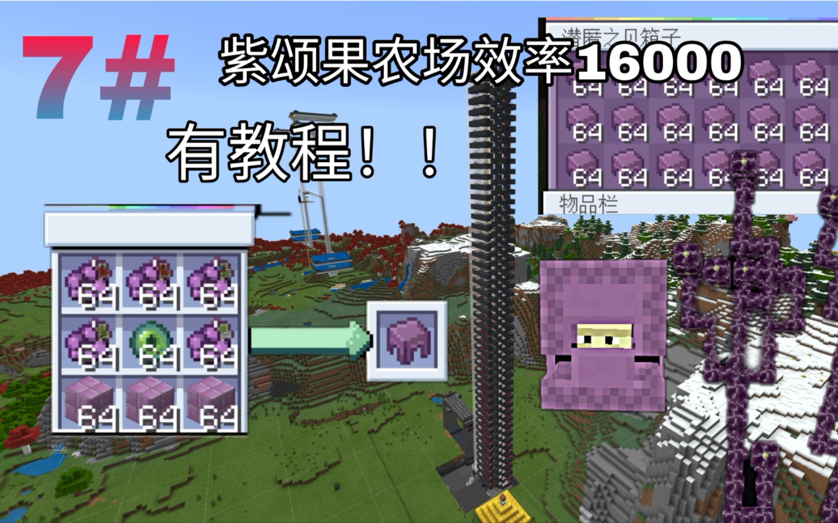 [ MCBE]单人生存#7 紫颂果农场效率高达16000!!(包含教程)哔哩哔哩bilibili我的世界