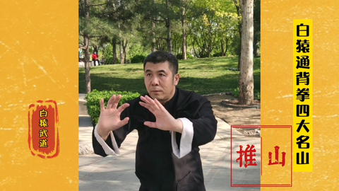 白猿通背拳 中国武術 白猿通背拳 中国武術