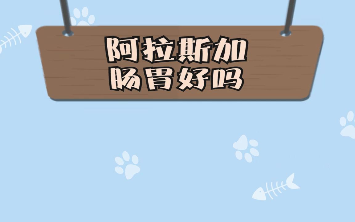 阿拉斯加肠胃好吗哔哩哔哩bilibili