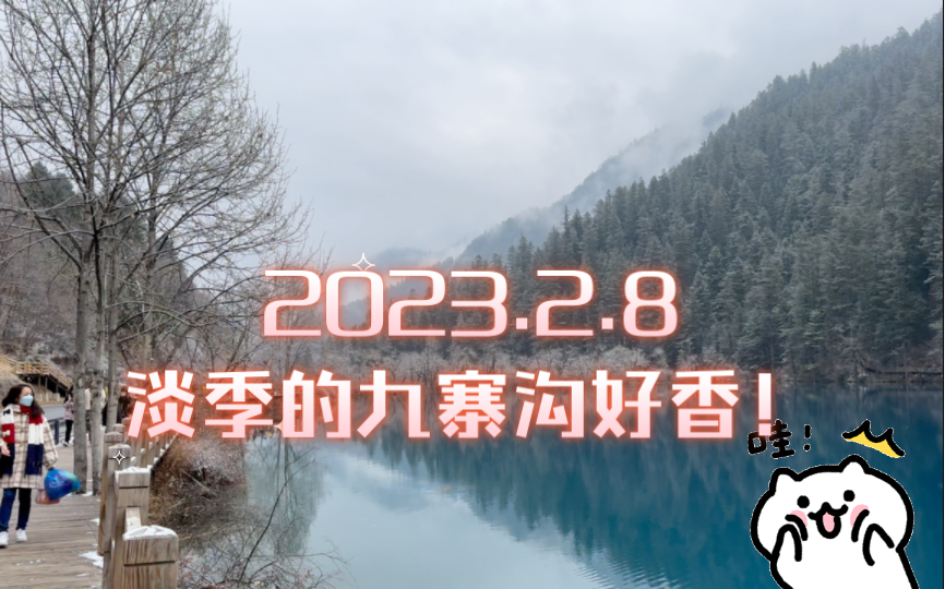 2023.2.8 九寨沟老虎海,淡季好美!哔哩哔哩bilibili