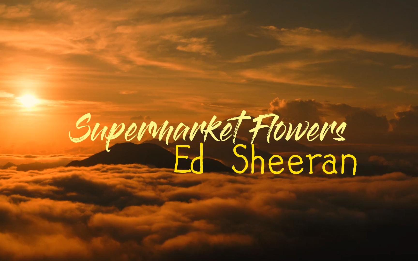 [图]一首听了想哭的歌《Supermarket Flowers》“你害怕的每个鬼，都是别人朝思暮想的人”