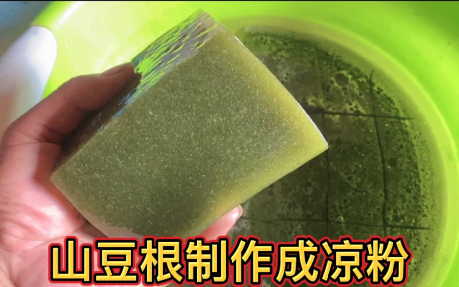 粉叶轮环藤也称之为山豆根,用其叶子制作凉粉的全过程,你吃过吗