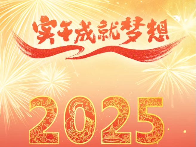 实干成就梦想!我为2025年打CALL!哔哩哔哩bilibili