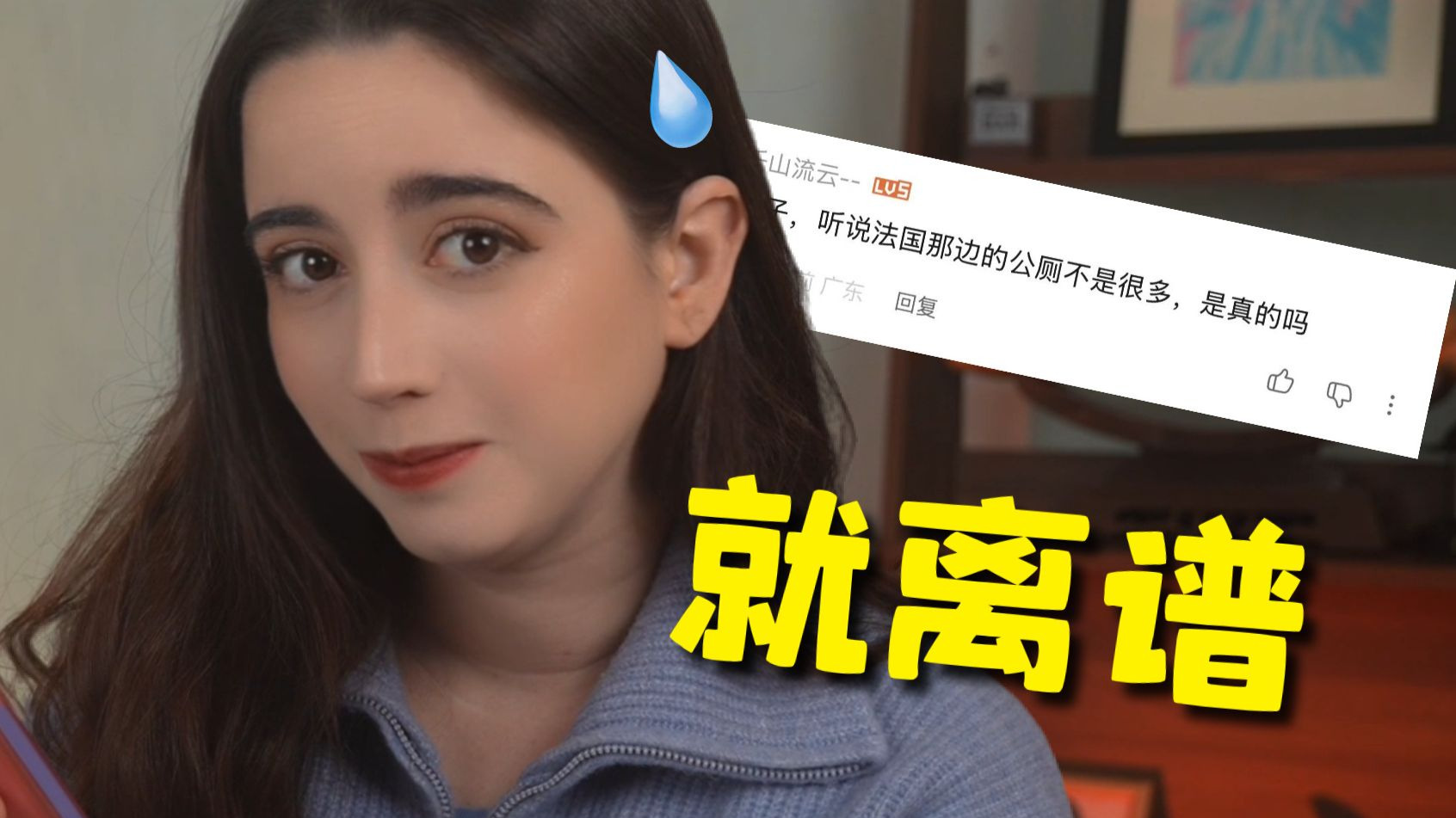 法国真的没有公共厕所吗？？