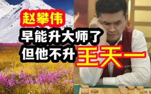 Download Video: 王天一：赵攀伟早就能升大师了，但他就是不申报