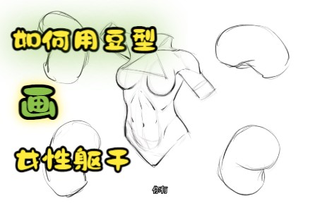 【汉化】如何用豆型画女性躯干哔哩哔哩bilibili