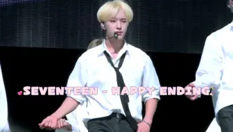 【HOSHI权顺荣】190817 SEVENTEEN - HAPPY ENDING  权顺荣饭拍(focus）看帅哥在SUMMER SONIC流汗(这也太晒了)