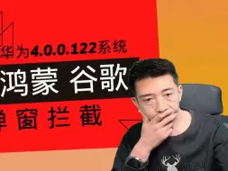 华为安装google框架(最新完美安装办法)2024（9月8日）依然有效 如果失效 视频我会下架