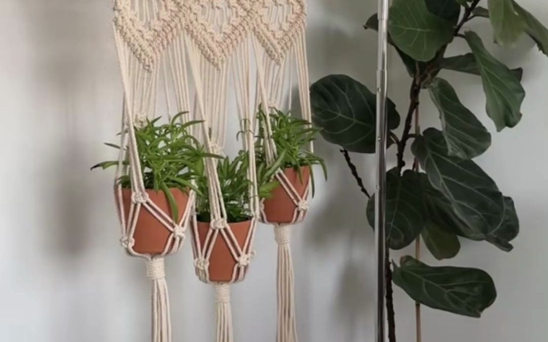 用编织挂篮将花盆上移,绿植分布更有空间层次感.