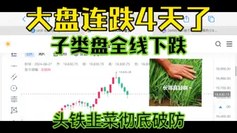 Download Video: CNCS 大盘连跌四天 没出货的头铁韭菜彻底破防