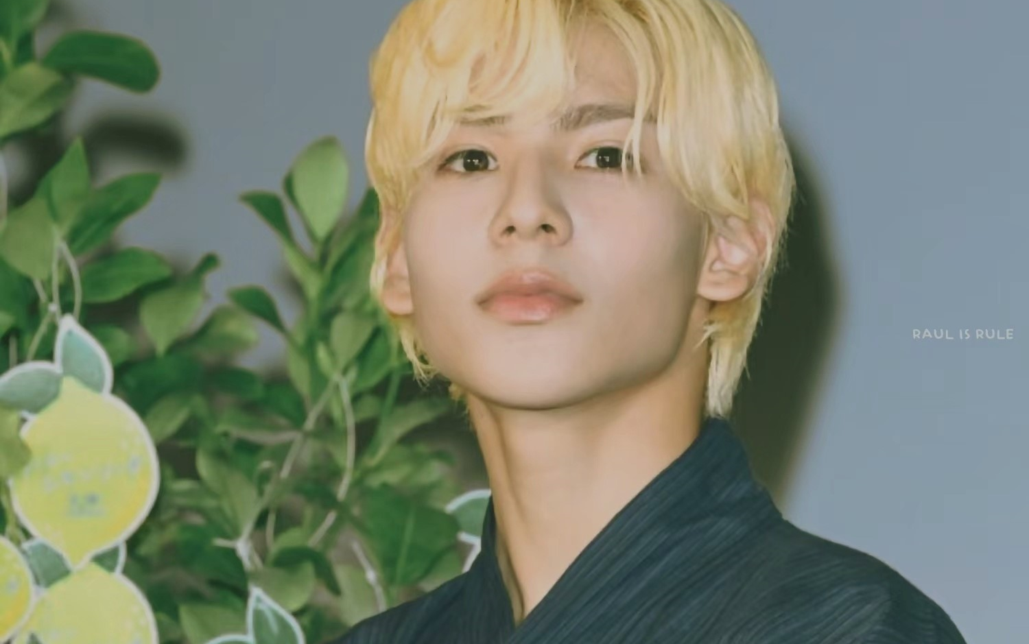 村上真都raul focus