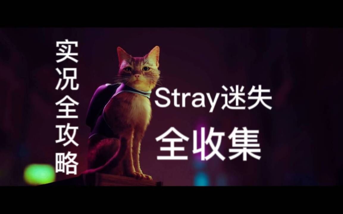 [三森stray]猫猫模拟器带你体验猫猫的世界单机游戏热门视频