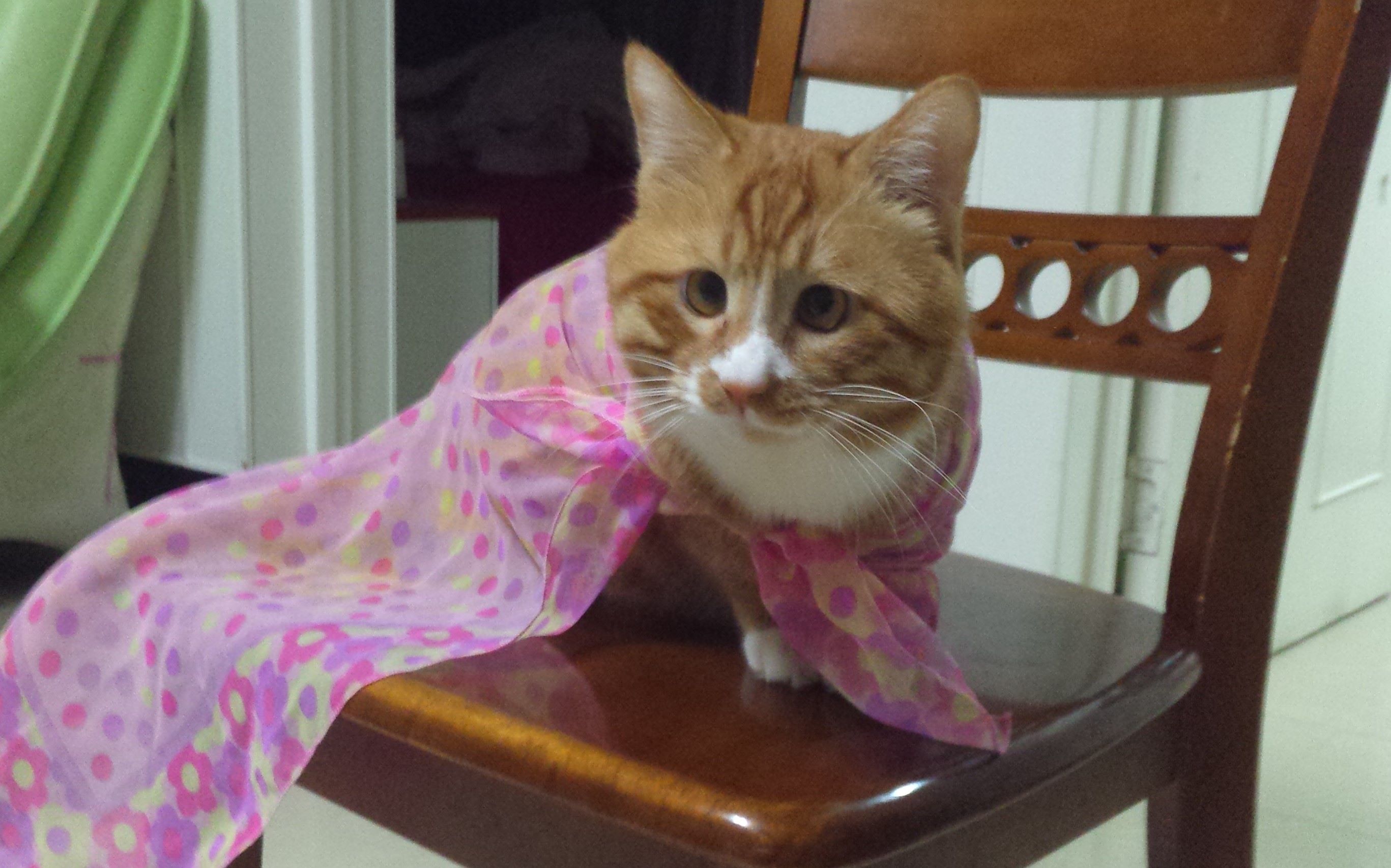 单侧舌堵音的三种基本伴奏法布鲁斯口琴初级教学103106