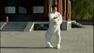 游身八卦连环掌-哔哩哔哩_Bilibili