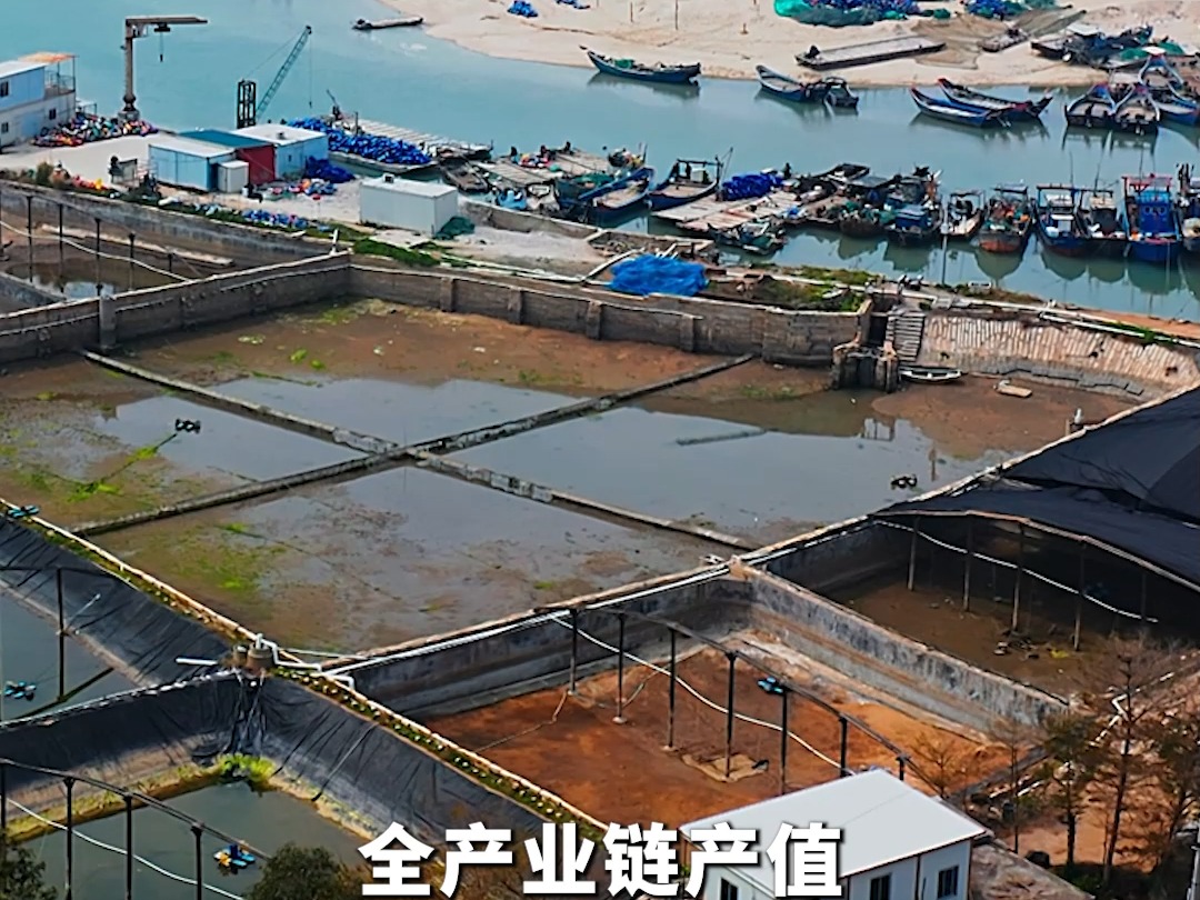 “经济发展生动实践”系列专家谈 | 践行大食物观的福建启示 #经济发展生动实践专家谈哔哩哔哩bilibili