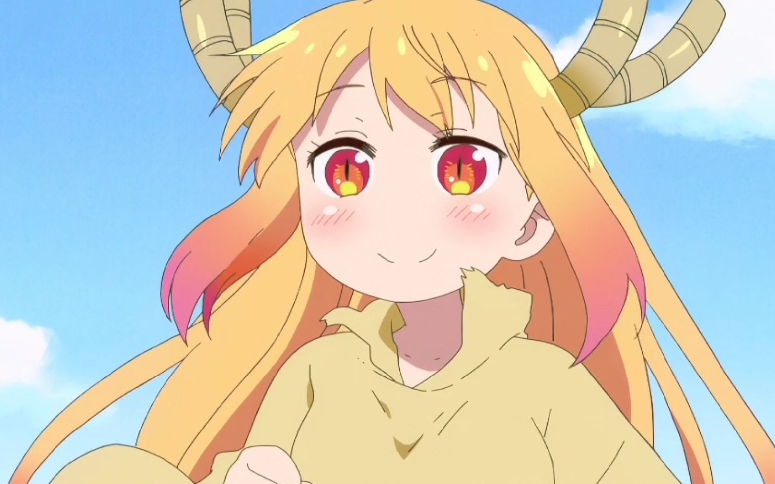 小林家的龙女仆托尔的旅途destiny太阳の花destiny太阳花