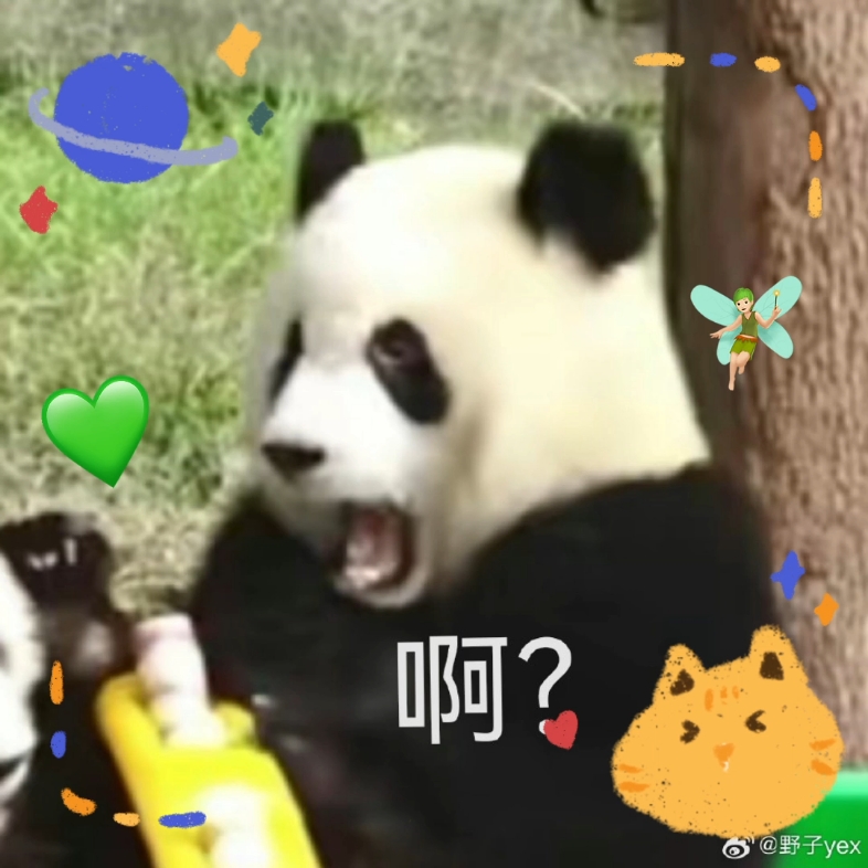 爱姐的这个《啊?》真的好有灵性啊哈哈哈