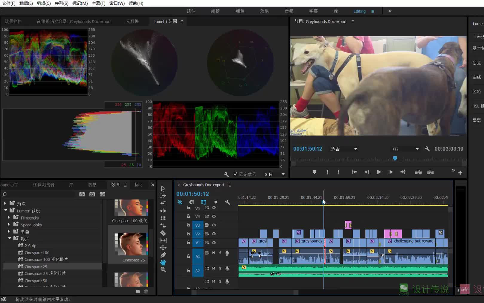 【(vip课程) 全新 PremierePro CC 中文系统教程,PR软件完全讲解/视频剪辑/视频后期处理/字幕制作等技巧全解】哔哩哔哩bilibili