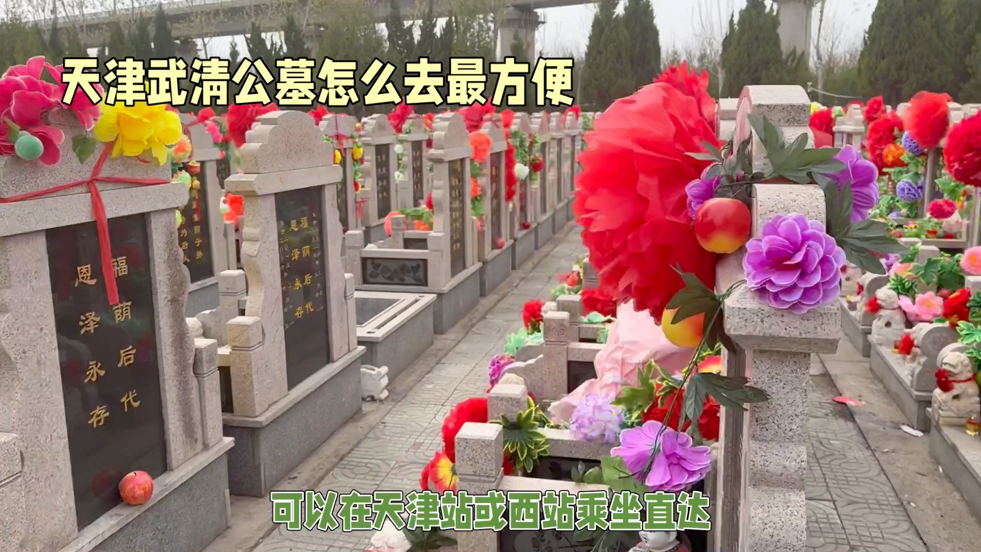 天津武清公墓怎么去方便