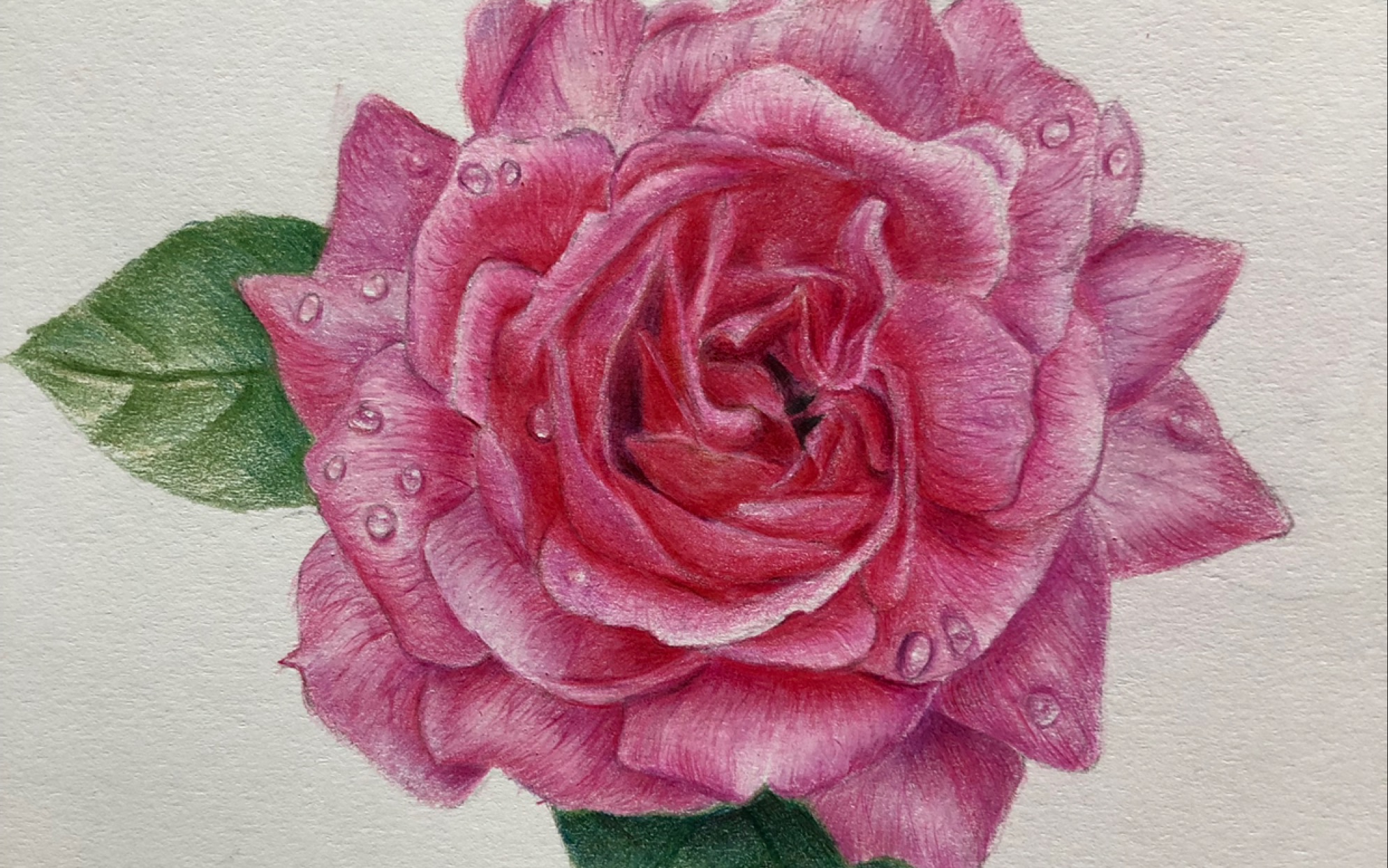 绘画彩铅彩铅画手绘插画