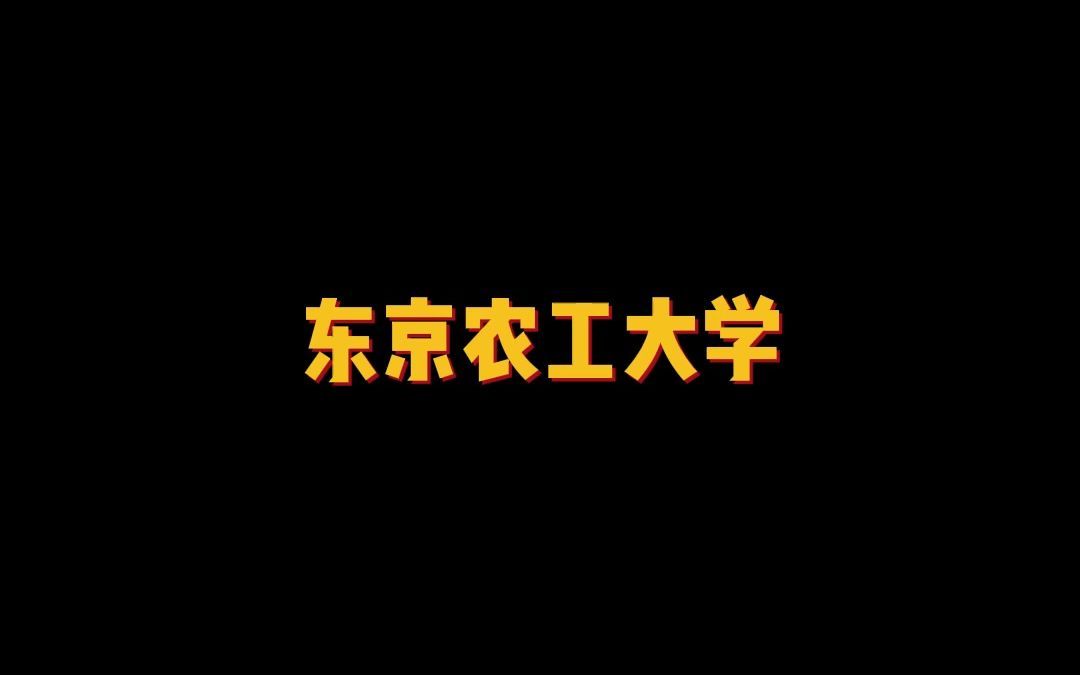 日本顶尖的研究型国立大学——东京农工大学哔哩哔哩bilibili