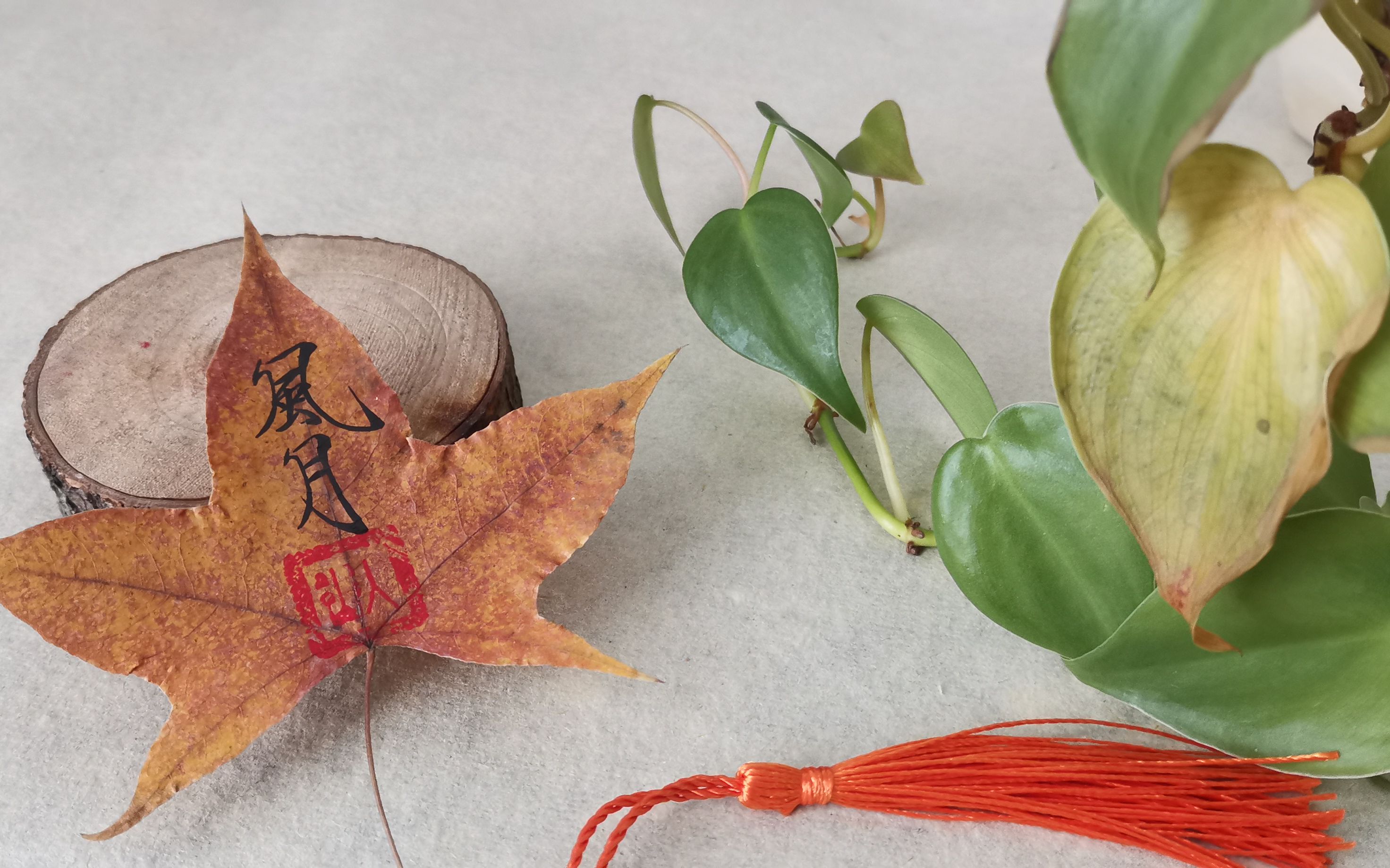 活动  【瘦金体】【红叶题诗】自制枫叶书签——风月