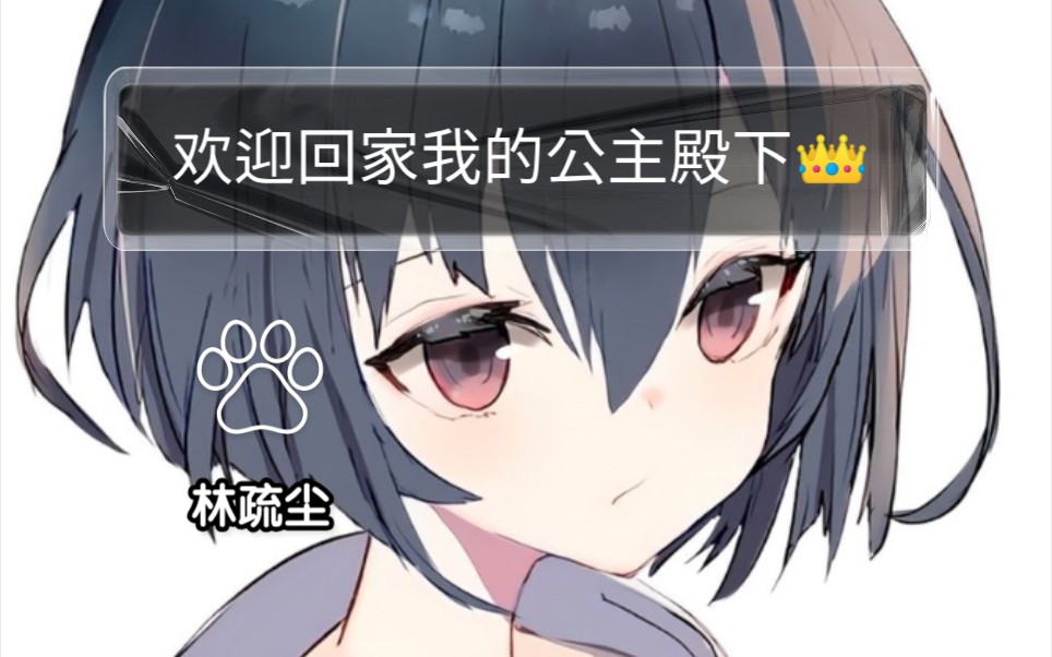 欢迎回家我的公主殿下