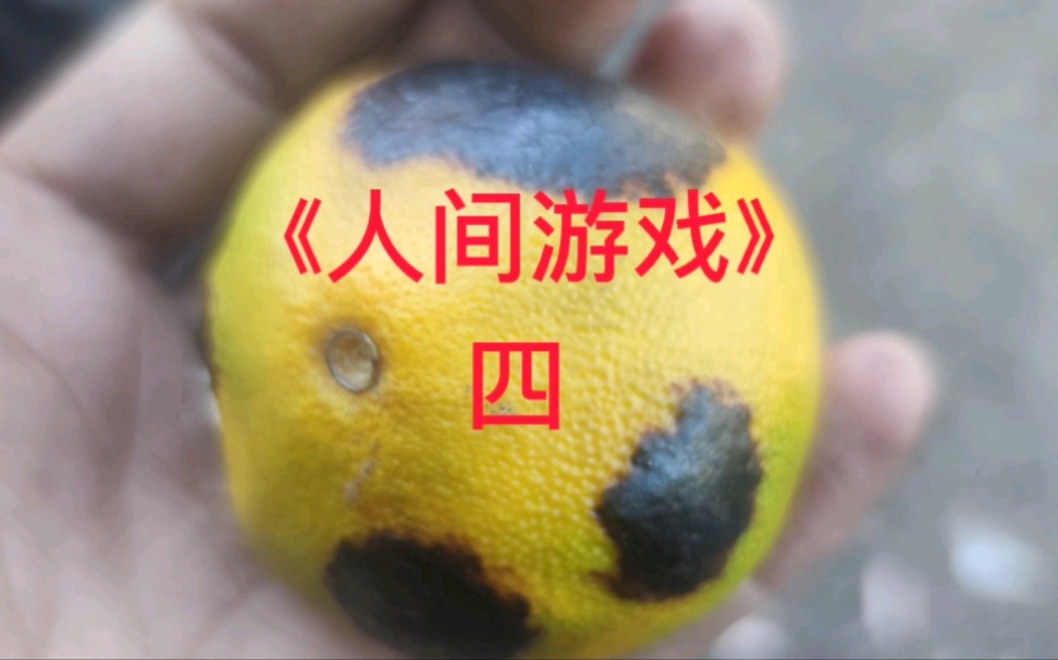 人际关系心理学之四哔哩哔哩bilibili