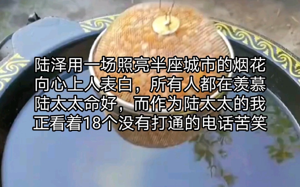 陆泽用一场照亮半座城市的烟花向心上人表白,所有人都在羡慕陆太太命好,而作为陆太太的我此时正看着18个没有打通的电话苦笑,谁家的陆太太跟个保姆...