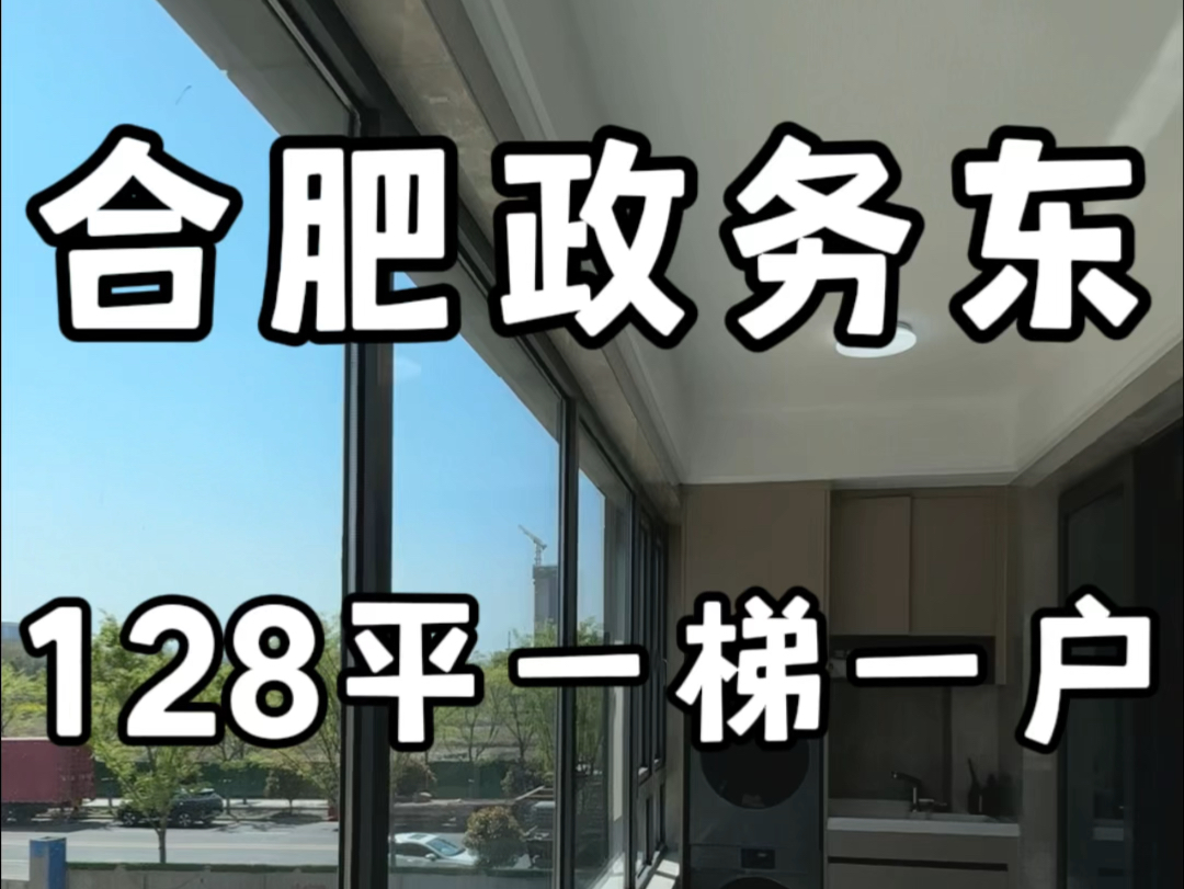 #合肥 南站旁距离万象城仅4点5公里128平一梯一户总价270万 #合肥改善住宅哔哩哔哩bilibili