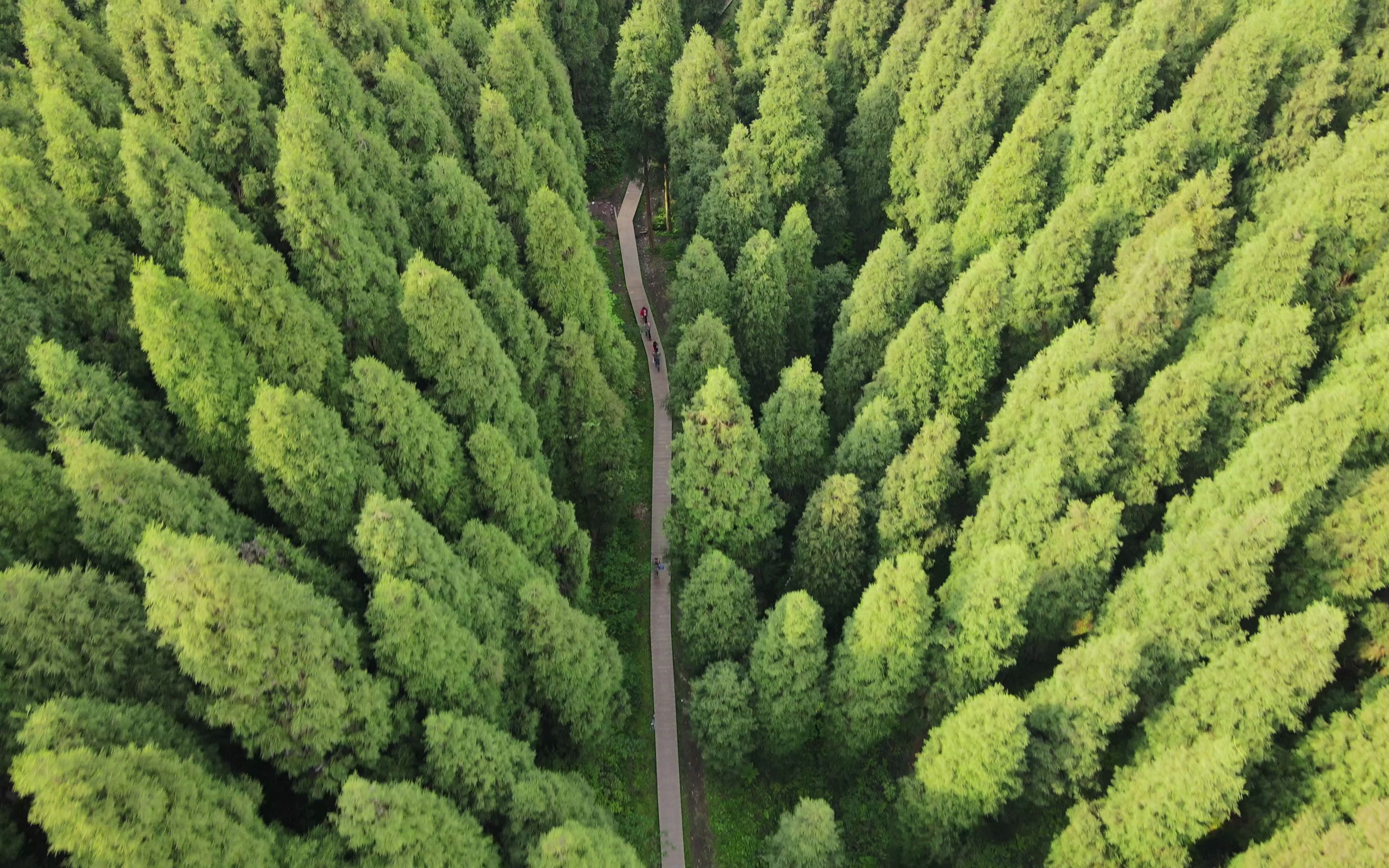 2022五一出行成都彭州中坝