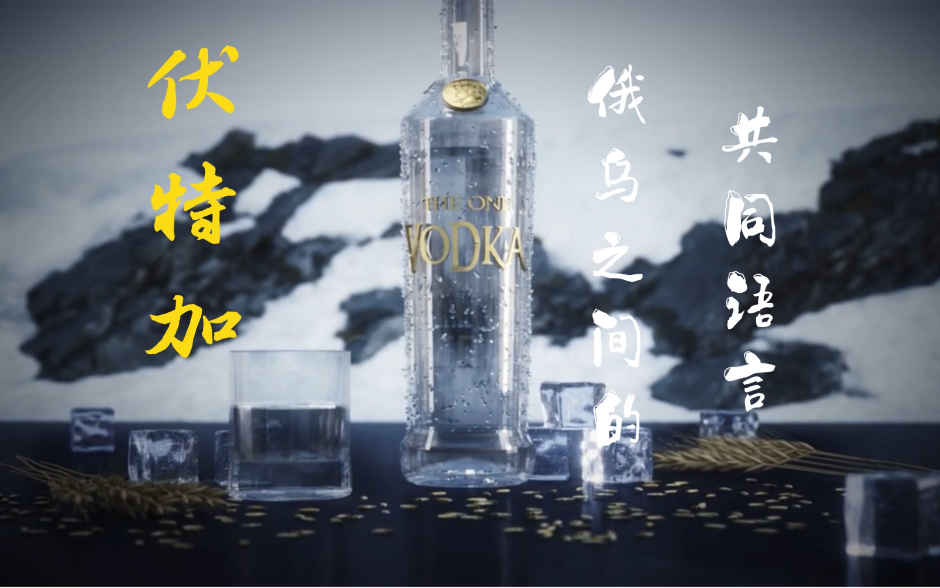 (Vodka)烈酒不正经科普之伏特加哔哩哔哩bilibili