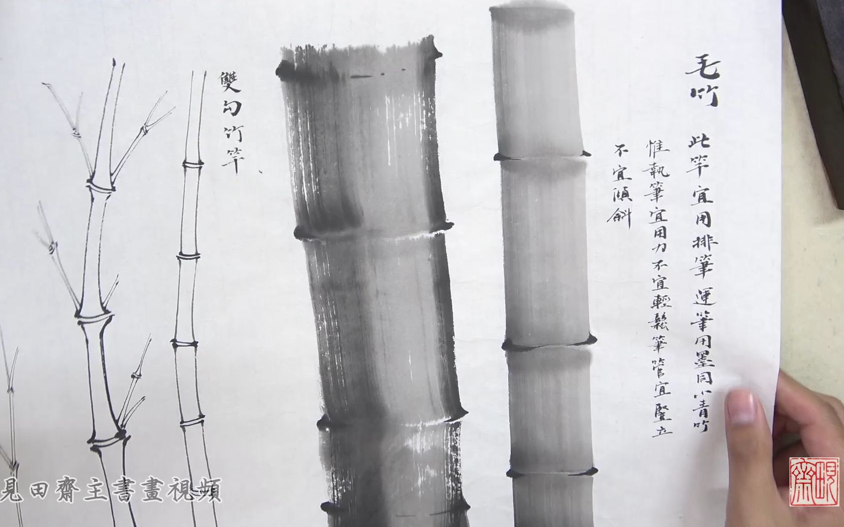 国画:写意竹竿竹节 线上课节选【见田斋】