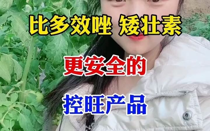 【三农】使用亚磷酸钾控旺一定要保持土壤湿润,尽量避开嫩梢嫩叶!哔哩哔哩bilibili