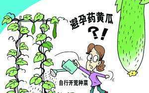 植物激素生长素 微课哔哩哔哩bilibili