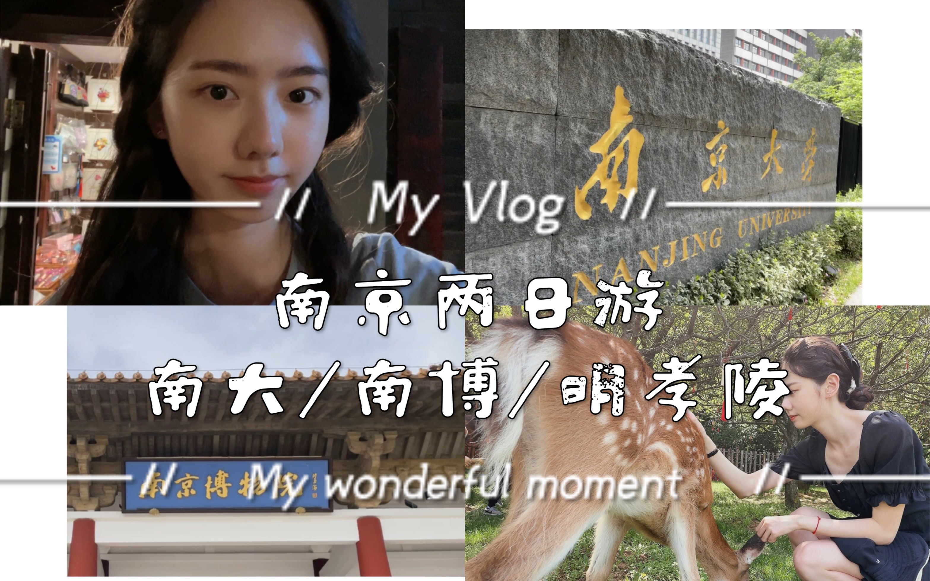 VLOG|南京两日游|旅游记录|访南大/逛南京博物院/明孝陵喂鹿哔哩哔哩bilibili