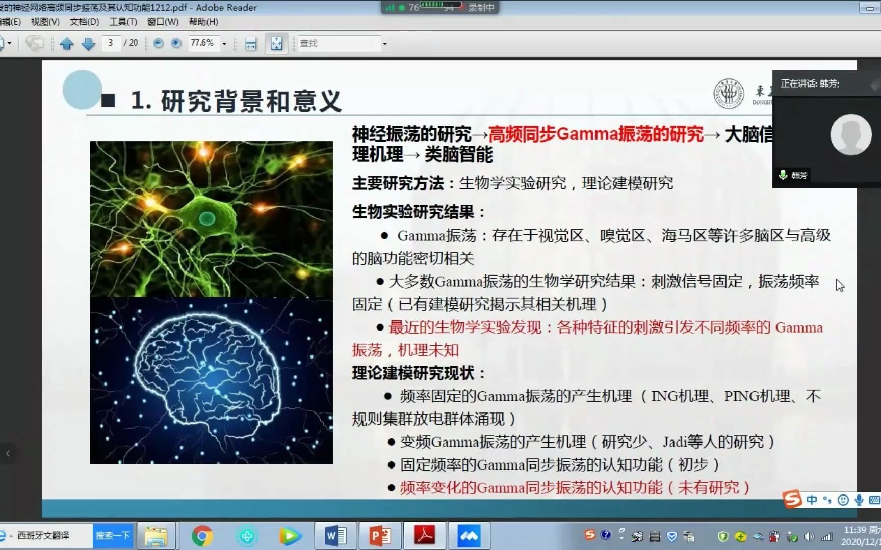 神经动力学与类脑智能交叉学科学术沙龙(3) 刺激诱发的神经网络高频同步振荡及其认知功能研究哔哩哔哩bilibili