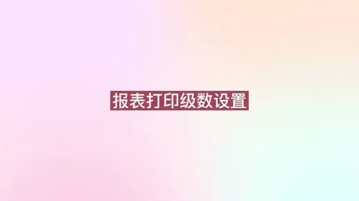 青山.NET大禹水利工程造价软件视频教程 报表打印级数设置
